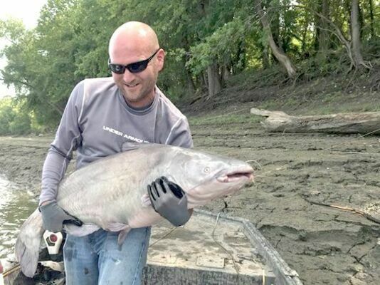 MDC is seeking public input on potential regulation changes for both recreational and commercial blue catfish and flathead catfish harvested from the Missouri, Mississippi, and St. Francis rivers. 
(MDC Photo)