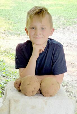 BIG TATERS- Romayn Glore, I  showed my Papa (Marvin Scott) how to grow potatoes.   
                           (Submitted Photo)